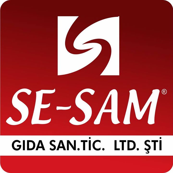 SE-SAM