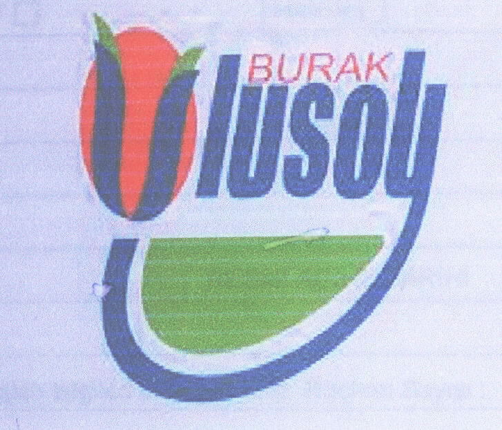 BURAK ULUSOY