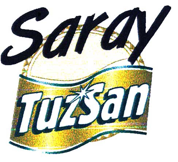 SARAY TUZSAN