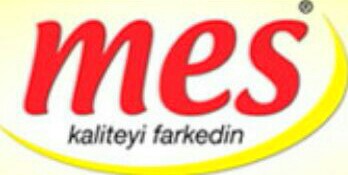 MES
